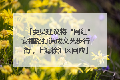 委员建议将“网红”安福路打造成文艺步行街，上海徐汇区回应
