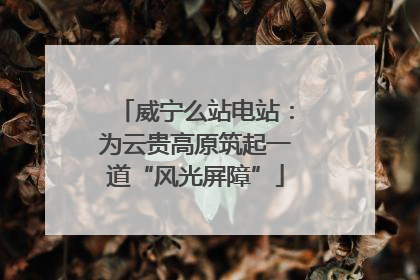 威宁么站电站：为云贵高原筑起一道“风光屏障”