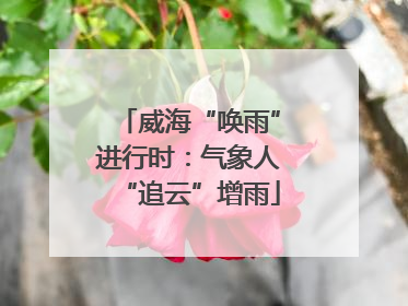 威海“唤雨”进行时：气象人“追云”增雨