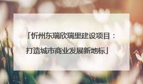 忻州东瑞欣瑞里建设项目：打造城市商业发展新地标