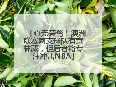 心无旁骛！澳洲联赛两支球队有意林葳，但后者将专注冲击NBA