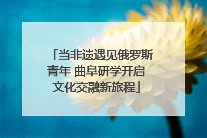 当非遗遇见俄罗斯青年 曲阜研学开启文化交融新旅程