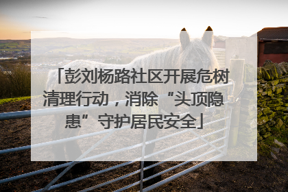彭刘杨路社区开展危树清理行动，消除“头顶隐患”守护居民安全