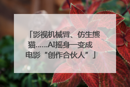 影视机械臂、仿生熊猫……AI摇身一变成电影“创作合伙人”