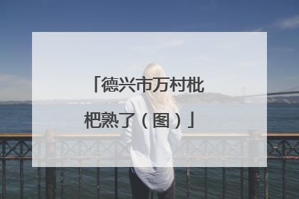 德兴市万村枇杷熟了（图）