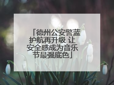 德州公安警蓝护航再升级 让安全感成为音乐节最强底色