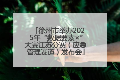 徐州市举办2025年“数据要素×”大赛江苏分赛（应急管理赛道）发布会
