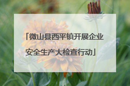 微山县西平镇开展企业安全生产大检查行动