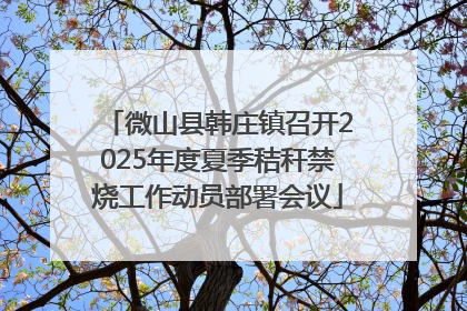 微山县韩庄镇召开2025年度夏季秸秆禁烧工作动员部署会议
