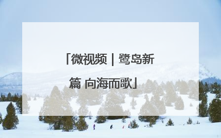 微视频｜鹭岛新篇 向海而歌