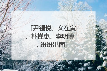 尹锡悦、文在寅、朴槿惠、李明博，纷纷出面
