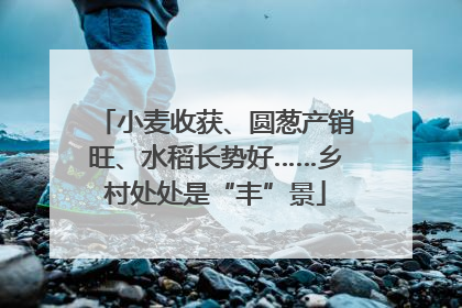 小麦收获、圆葱产销旺、水稻长势好……乡村处处是“丰”景