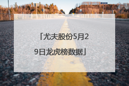 尤夫股份5月29日龙虎榜数据