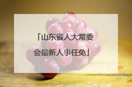 山东省人大常委会最新人事任免