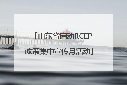 山东省启动RCEP政策集中宣传月活动