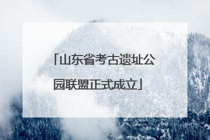 山东省考古遗址公园联盟正式成立