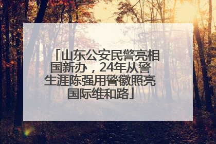 山东公安民警亮相国新办，24年从警生涯陈强用警徽照亮国际维和路