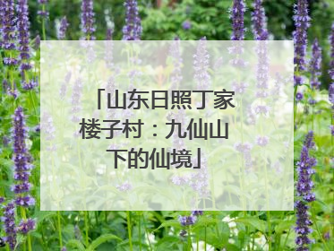 山东日照丁家楼子村：九仙山下的仙境