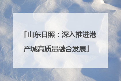 山东日照：深入推进港产城高质量融合发展