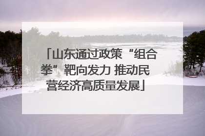 山东通过政策“组合拳”靶向发力 推动民营经济高质量发展