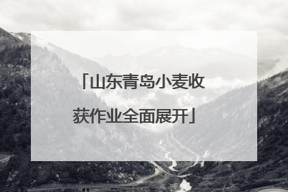 山东青岛小麦收获作业全面展开