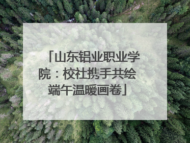 山东铝业职业学院：校社携手共绘端午温暖画卷