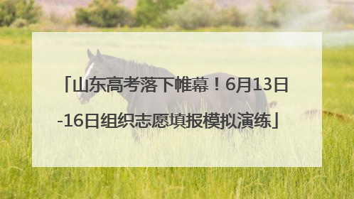 山东高考落下帷幕！6月13日-16日组织志愿填报模拟演练