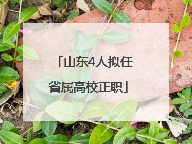 山东4人拟任省属高校正职