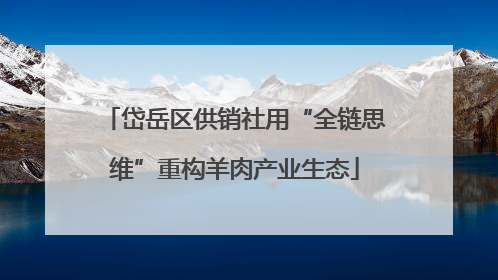 岱岳区供销社用“全链思维”重构羊肉产业生态