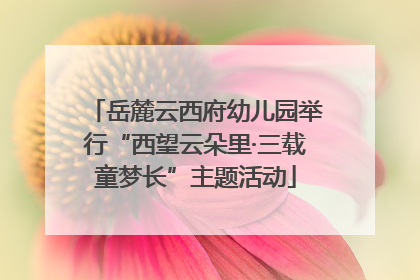 岳麓云西府幼儿园举行“西望云朵里·三载童梦长”主题活动