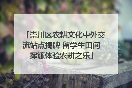 崇川区农耕文化中外交流站点揭牌 留学生田间挥镰体验农耕之乐