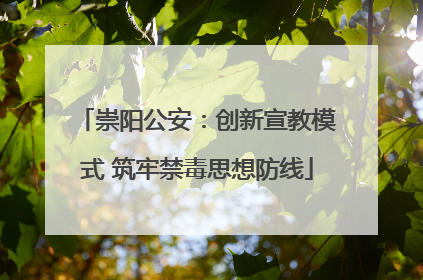 崇阳公安：创新宣教模式 筑牢禁毒思想防线