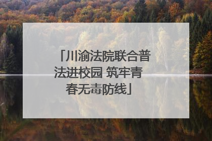 川渝法院联合普法进校园 筑牢青春无毒防线