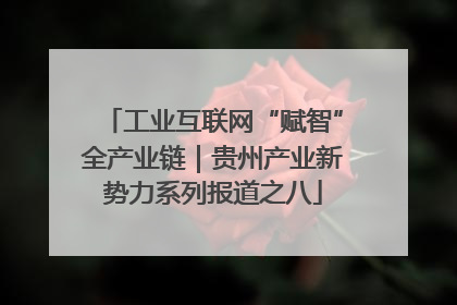 工业互联网“赋智”全产业链｜贵州产业新势力系列报道之八