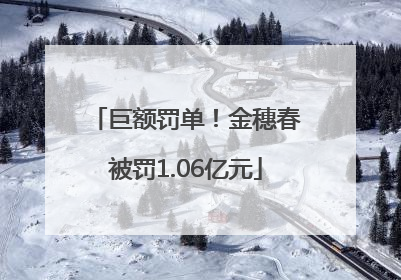 巨额罚单！金穗春被罚1.06亿元