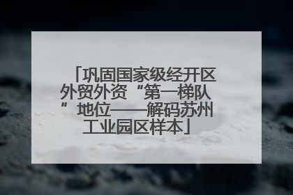 巩固国家级经开区外贸外资“第一梯队”地位——解码苏州工业园区样本