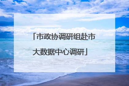 市政协调研组赴市大数据中心调研