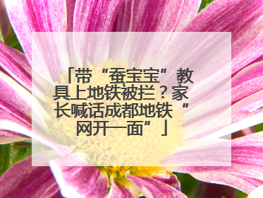 带“蚕宝宝”教具上地铁被拦？家长喊话成都地铁“网开一面”