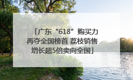 广东“618”购买力再夺全国榜首 荔枝销售增长超5倍卖向全国