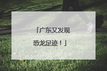 广东又发现恐龙足迹！