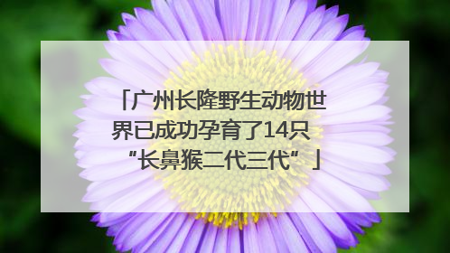 广州长隆野生动物世界已成功孕育了14只“长鼻猴二代三代”