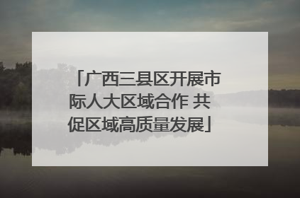 广西三县区开展市际人大区域合作 共促区域高质量发展