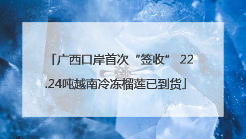 广西口岸首次“签收” 22.24吨越南冷冻榴莲已到货