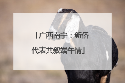 广西南宁：新侨代表共叙端午情