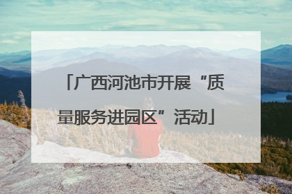 广西河池市开展“质量服务进园区”活动