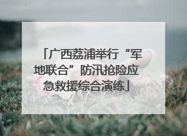 广西荔浦举行“军地联合”防汛抢险应急救援综合演练