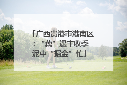 广西贵港市港南区：“藕”遇丰收季 泥中“掘金”忙