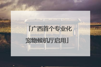 广西首个专业化宠物候机厅启用