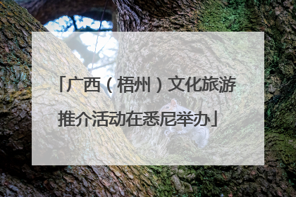 广西（梧州）文化旅游推介活动在悉尼举办
