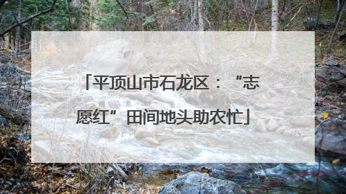 平顶山市石龙区：“志愿红”田间地头助农忙